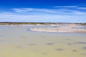 Paysage de la Camargue