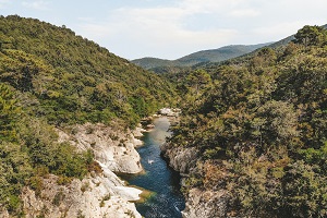 MENU Blog-Le-Gourmand-Voyageur-Voyages-en-corse65438