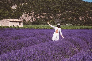 Blog Le Gourmand Voyageur - itinéraire lavandes Drôme355
